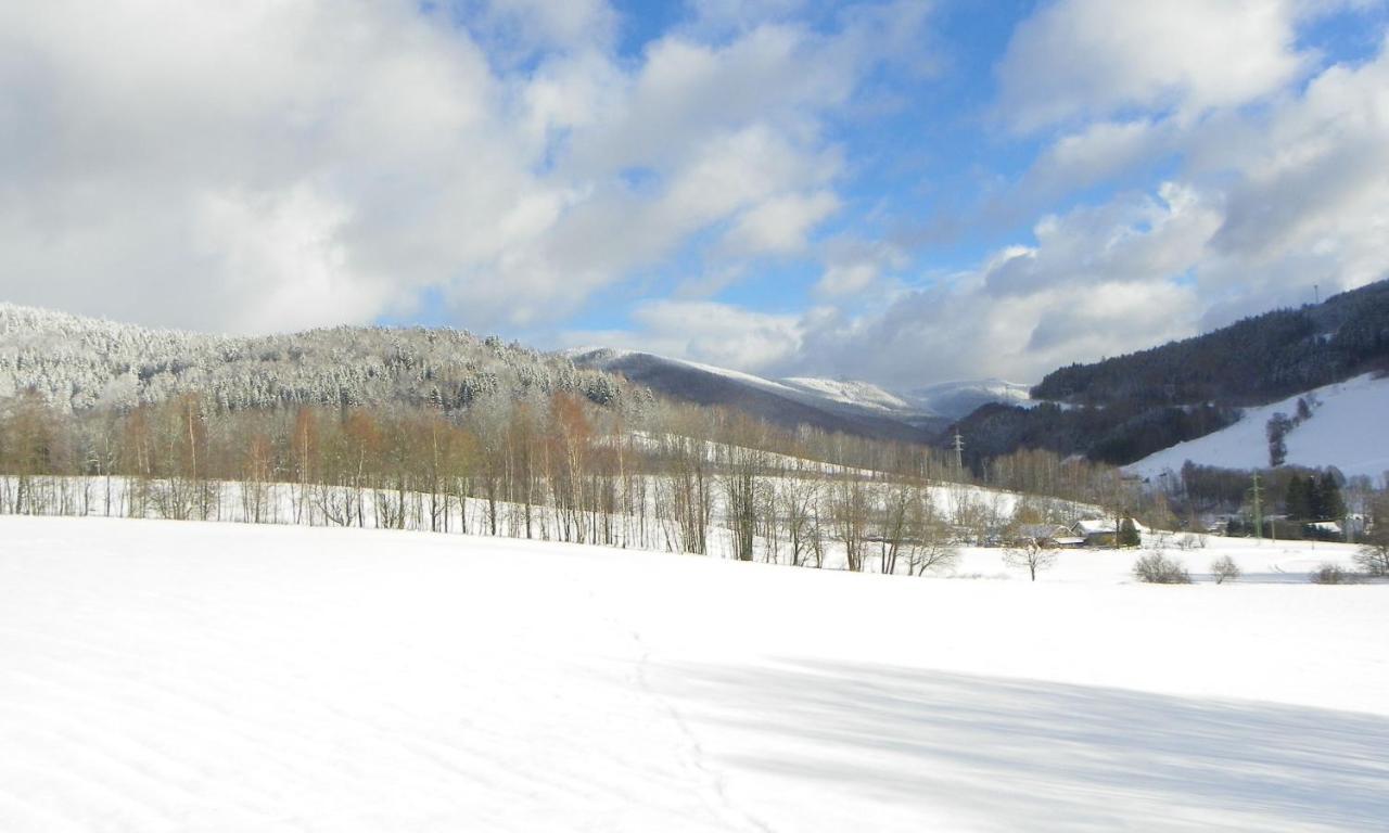 Hotel U Dvou Studni Loučná nad Desnou Esterno foto