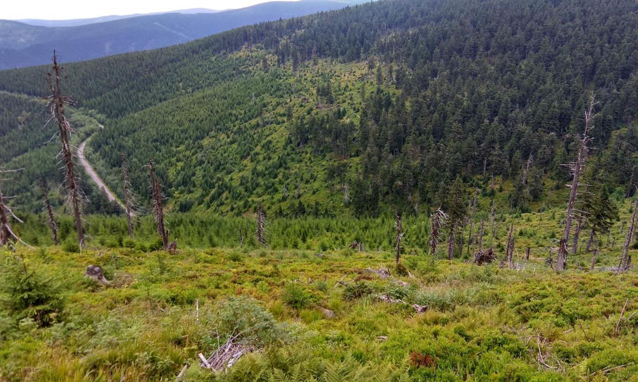 Hotel U Dvou Studni Loučná nad Desnou Esterno foto